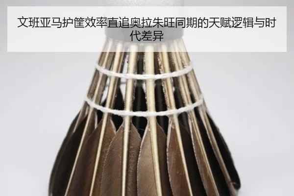 文班亚马护筐效率直追奥拉朱旺同期的天赋逻辑与时代差异